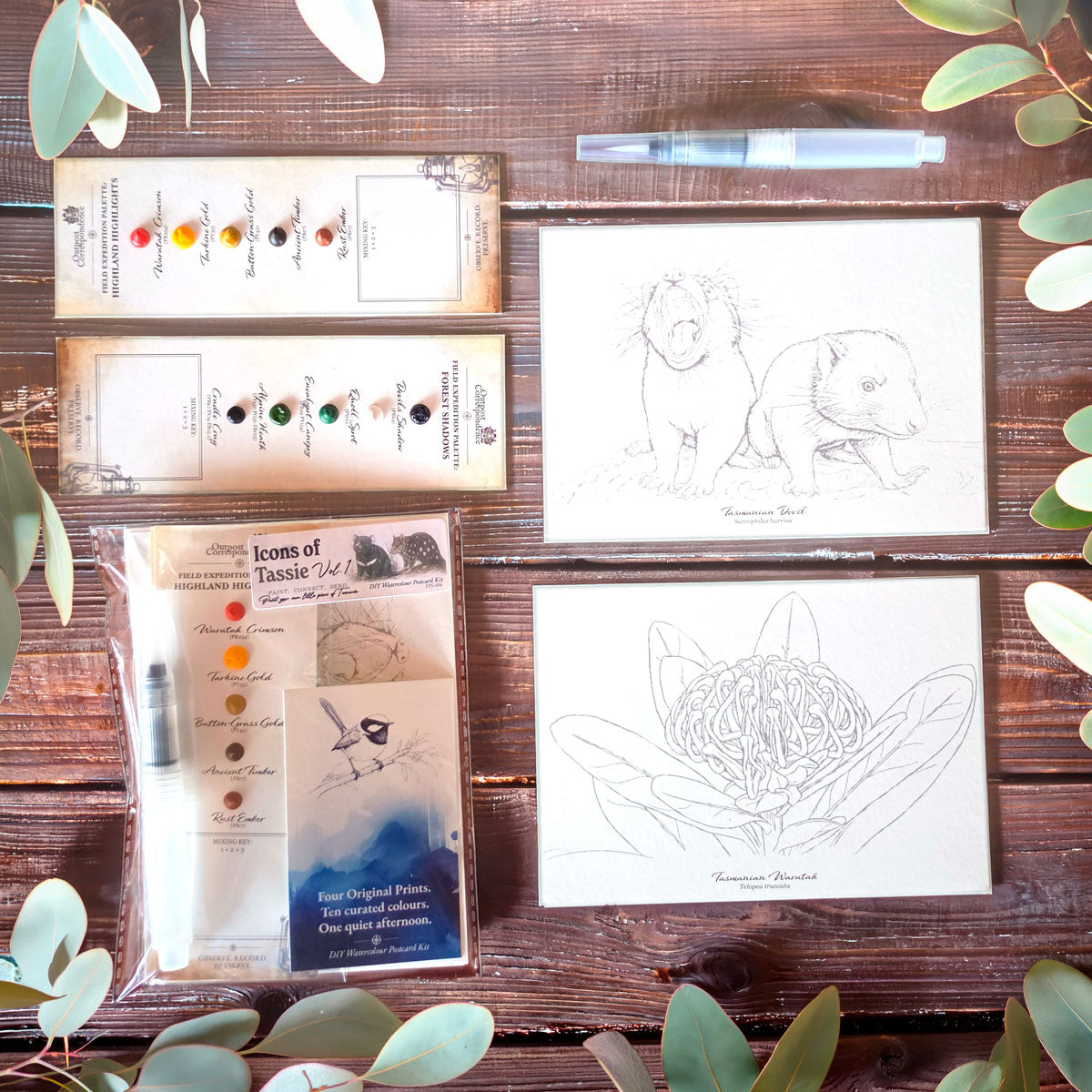 DIY Watercolour Postcard Kit – Icons of Tassie