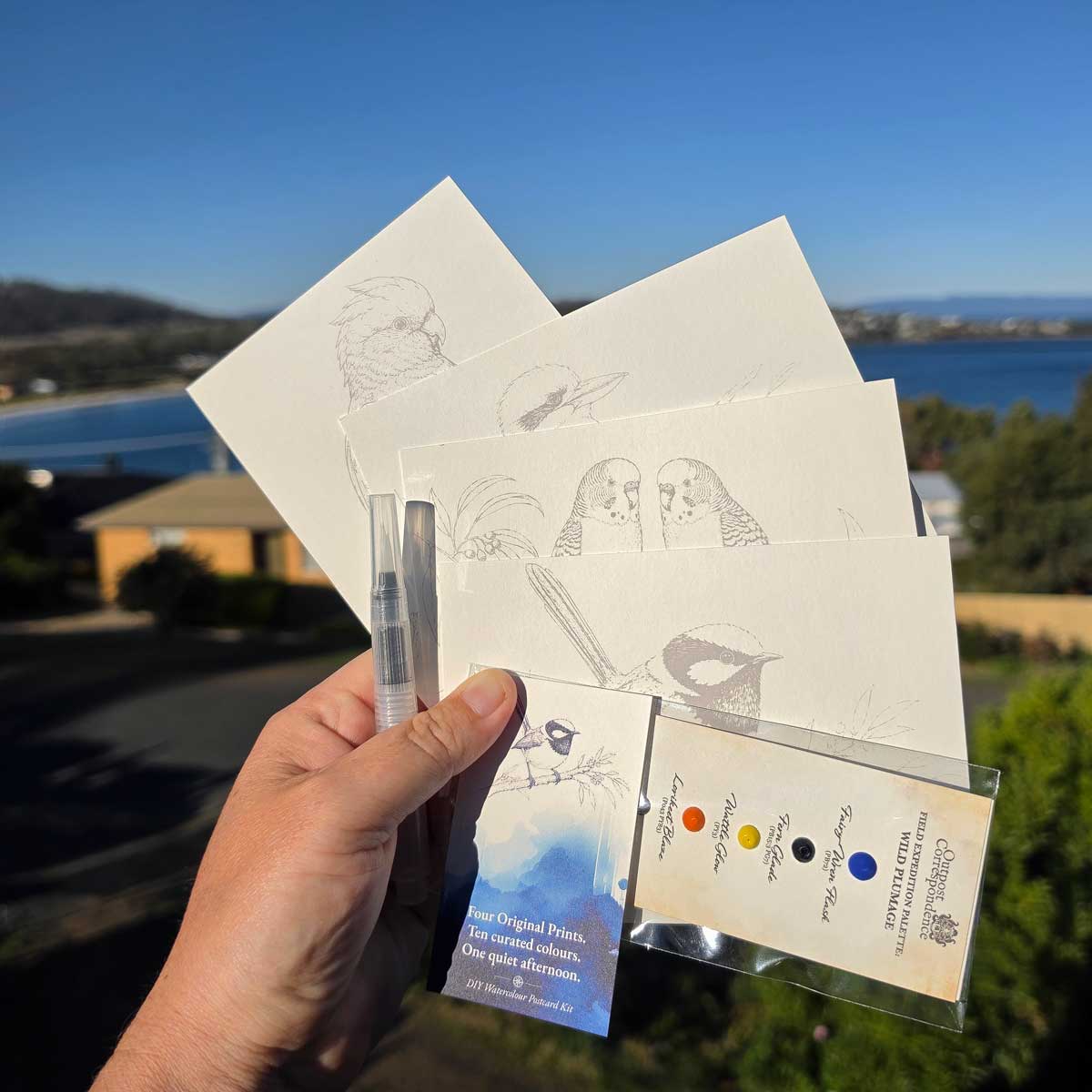 DIY Watercolour Postcard Kit – Australian Backyard Birds Edition (Budgerigar, Galah, Kookaburra & Fairy Wren)