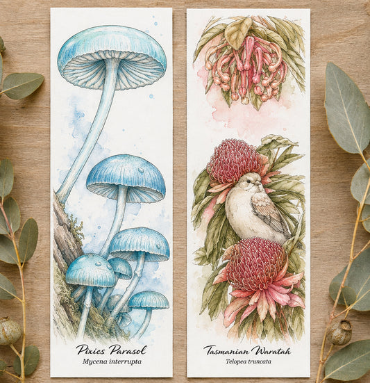 Watercolour Bookmark Kit, Pixies Parasal and Tasmanian Waratah