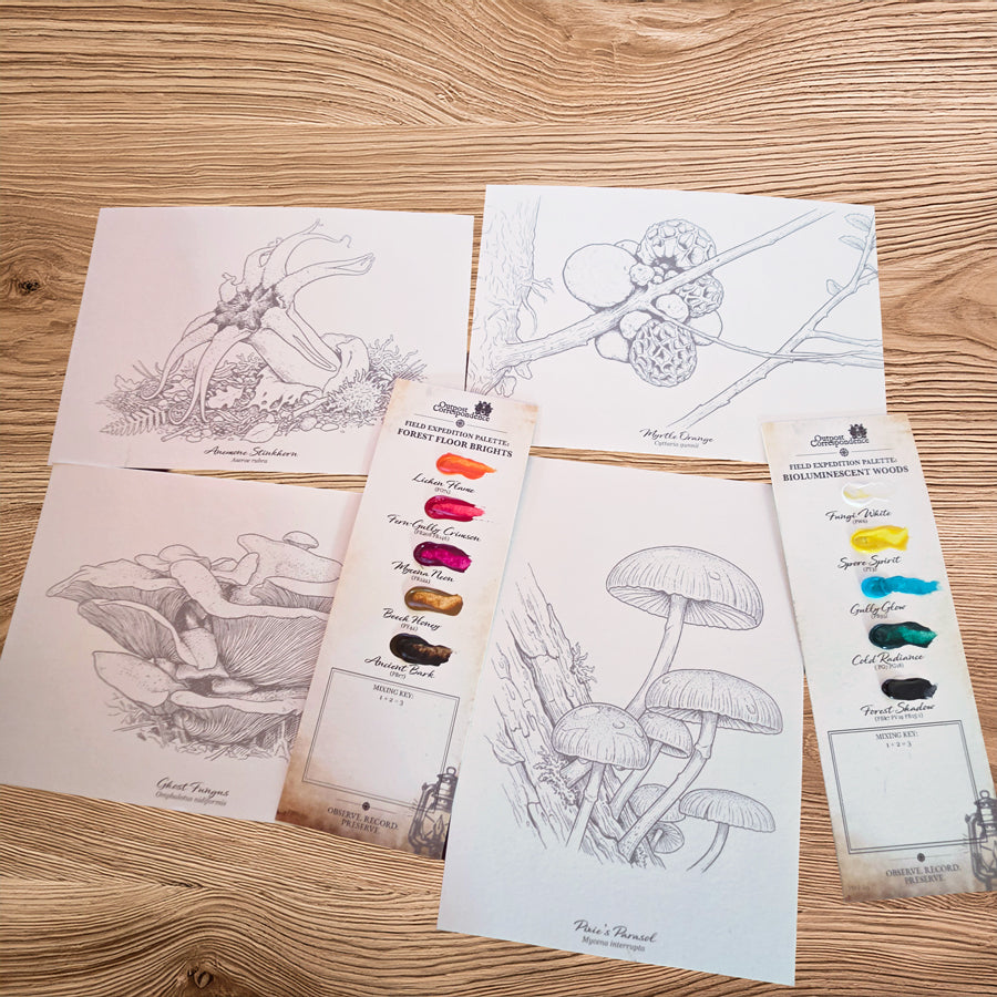 DIY Watercolour Postcard Kit – Tasmanian Fungi Vol. 1 (Ghost Fungus, Pixie's Parasol, Myrtle Orange & Anenome Stinkhorn)
