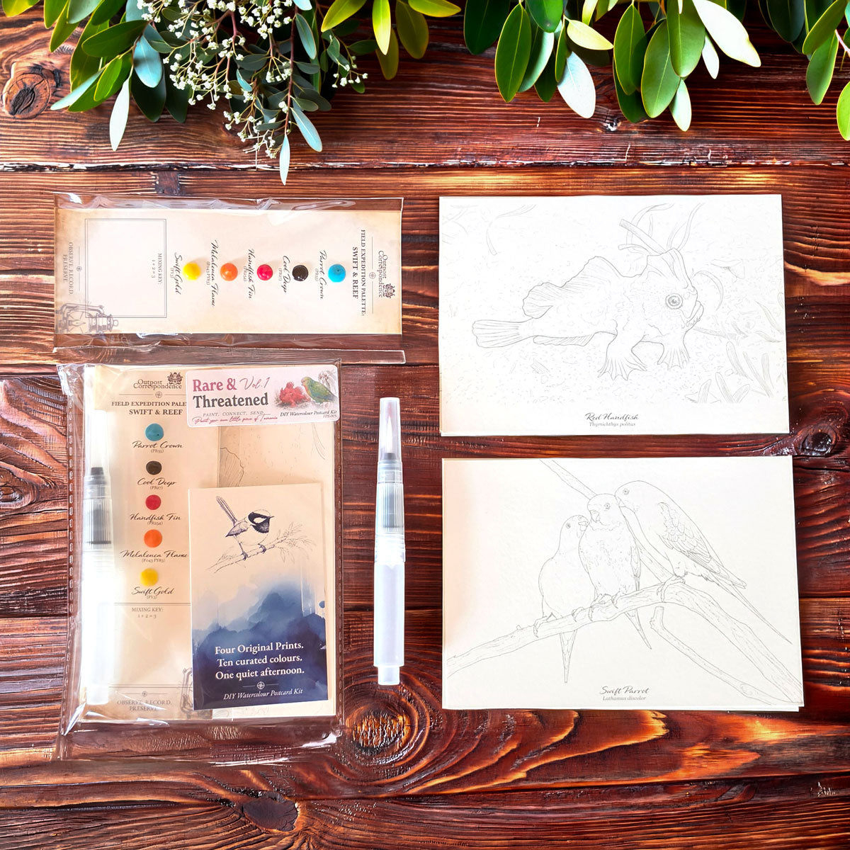 DIY Watercolour Postcard Kit – Rare &amp; Threatened Tasmania