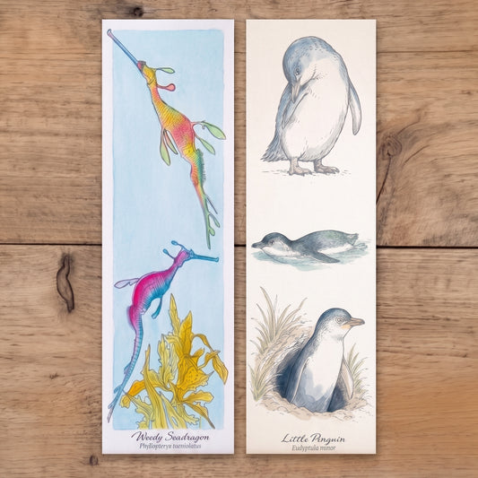Tasmanian Coast DIy Watercolour Bookmark Kit with a Little Penguin and Weedy Seadragon
