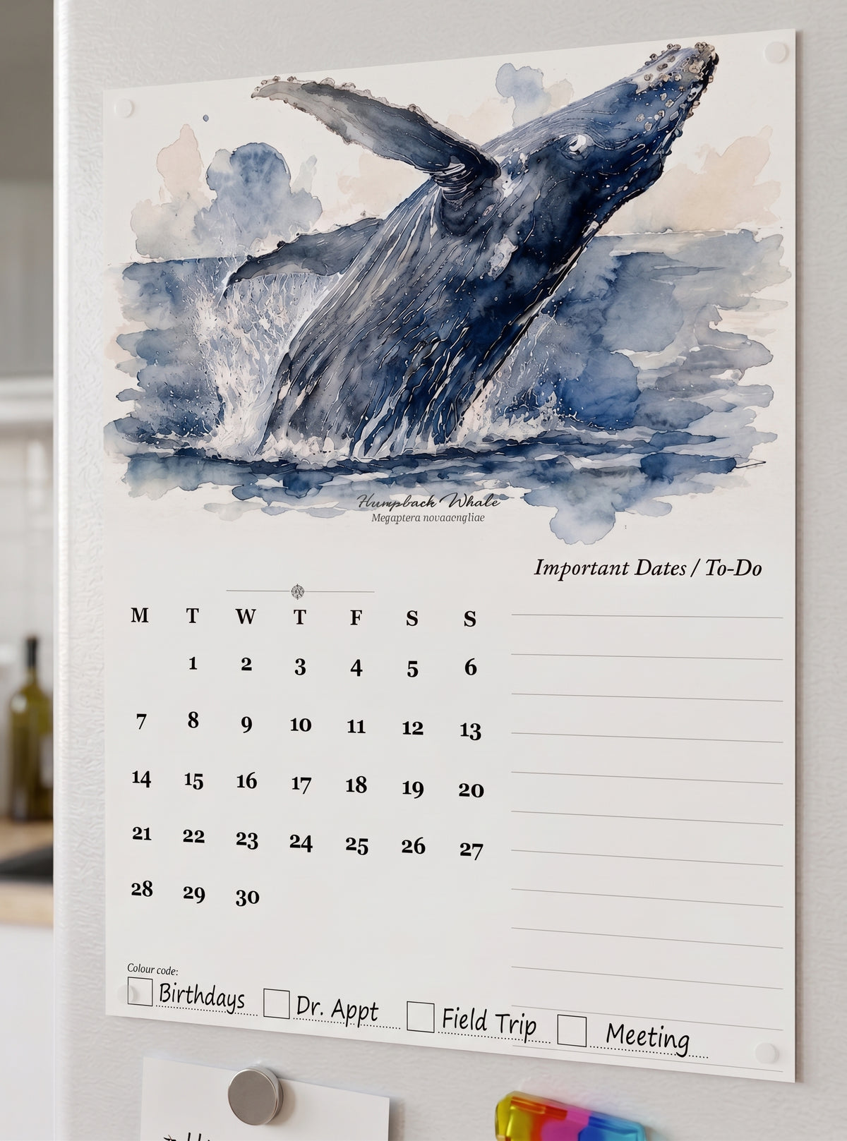 2027 Tasmanian watercolour calendar kit featuring 12 Australian native species and DIY painting supplies